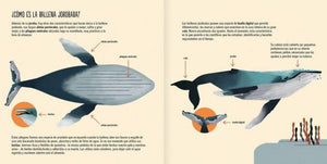 Libro La ballena jorobada - Lina Sustentable, ropa Niño Chile, ropa de niño en oferta