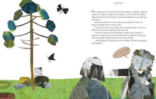 Cargar imagen en el visor de la galería, Libro Flora, cuentos andinos - Lina Sustentable, ropa Niño Chile, ropa de niño en oferta
